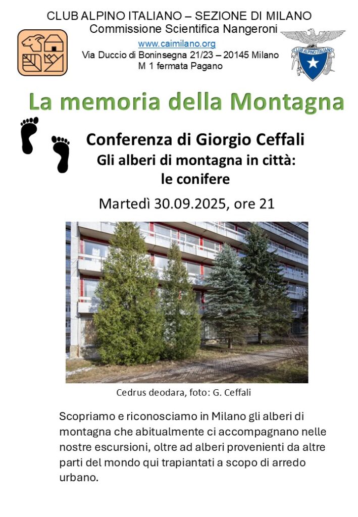 Gli alberi sono grandi produttori di ossigeno e sono determinanti per migliorare l'aria che si respira in città. Spesso lo dimentichiamo quando li abbattono per fare posto a parcheggi.  